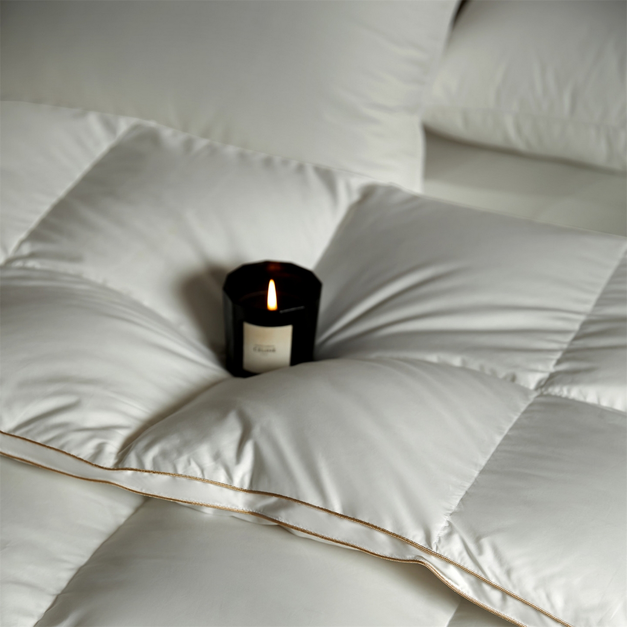 91家纺网 家纺一手货源 找家纺 （总）头等舱 80s柔舒棉(高支防钻绒面料) 新国标95白鹅绒被（空镜图）