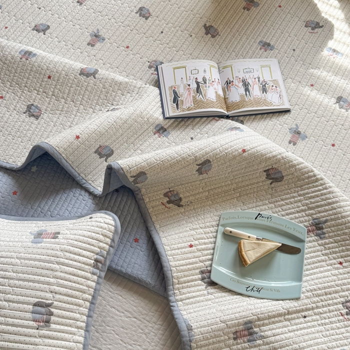 91家纺网 家纺一手货源 找家纺 茉夕家纺 2026新款春季双面纯棉印花单品床盖单件床盖 跳跳象