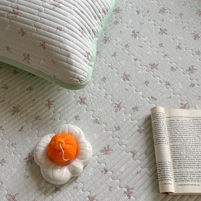 91家纺网 家纺一手货源 找家纺 茉夕家纺 2026新款春季双面纯棉印花单品床盖单件床盖 顽宠-绿