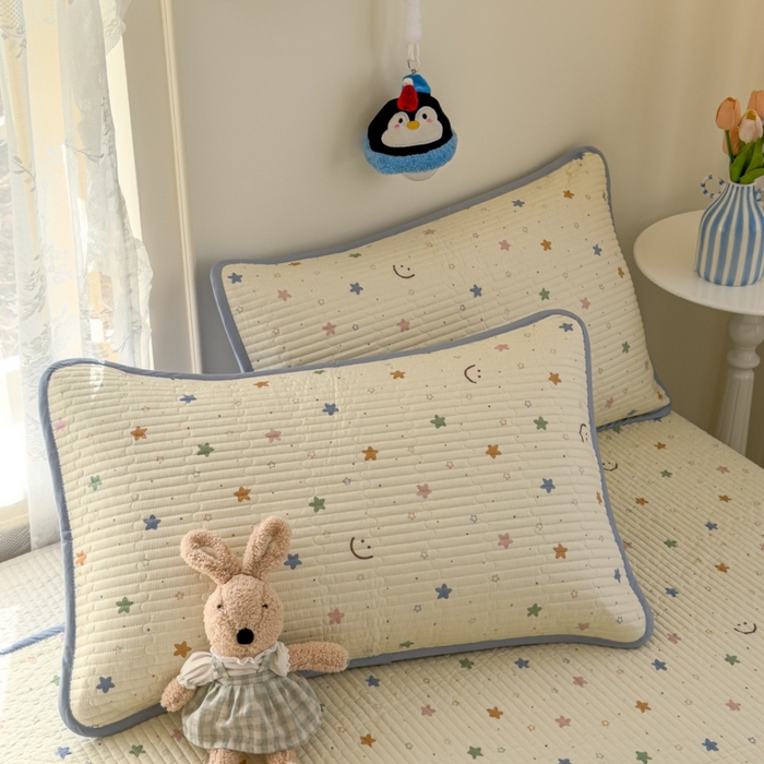 91家纺网 家纺一手货源 找家纺 茉夕家纺 2026新款春季双面纯棉印花单品床盖单件床盖 星河梦