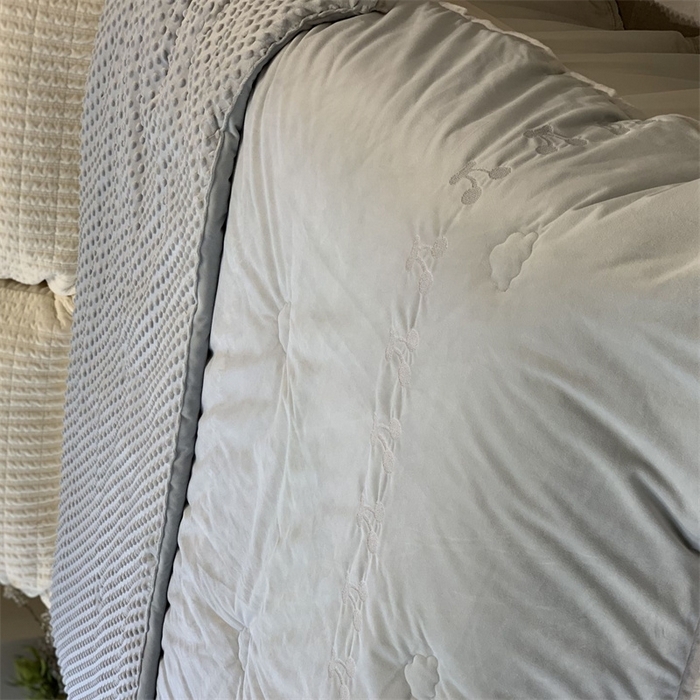 91家纺网 家纺一手货源 找家纺 （总）汇庭 2025秋冬新款樱桃绒双人豆豆被系列