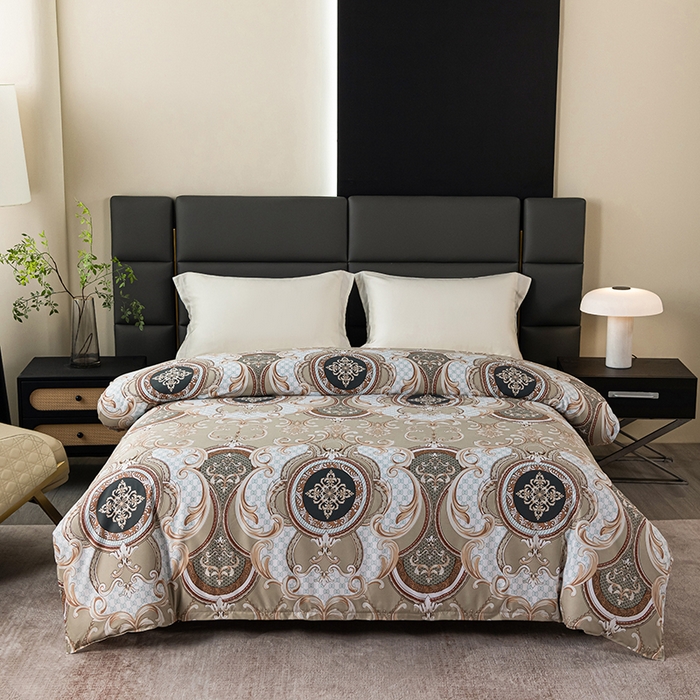 小雨家纺 2026新款跨境芦荟棉韩版花边床裙单品套件--被套 张灯结彩卡其