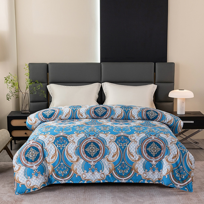 91家纺网 家纺一手货源 找家纺 （总）小雨家纺 2026新款跨境芦荟棉韩版花边床裙单品套件--被套