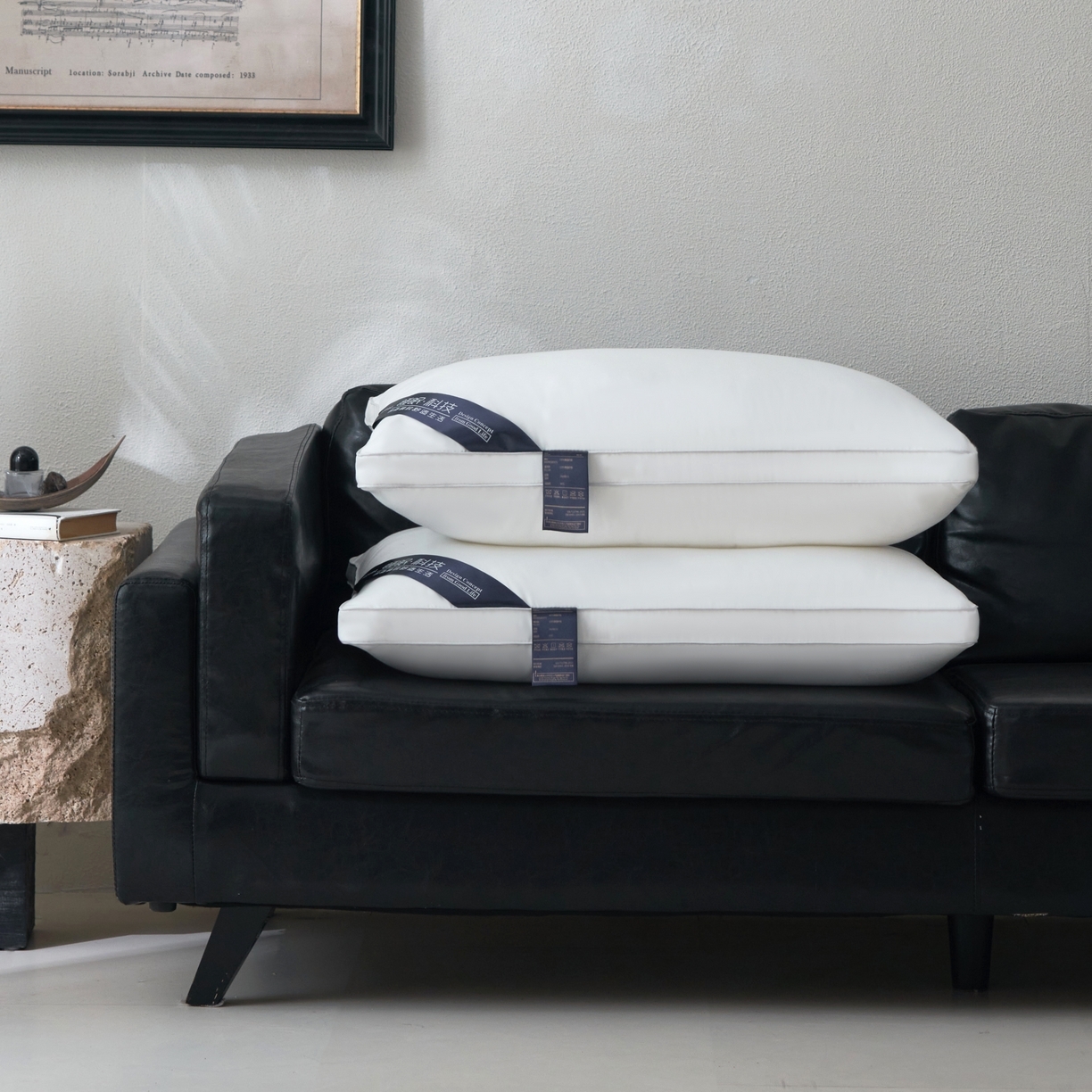 91家纺网 家纺一手货源 找家纺 （总）怡薇格枕芯 2026新款科技睡眠亲肤护颈枕头枕芯