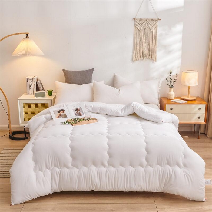 （总）啊雅家居 2026新款大量备货可订做酒店民宿压花磨毛冬被子被芯