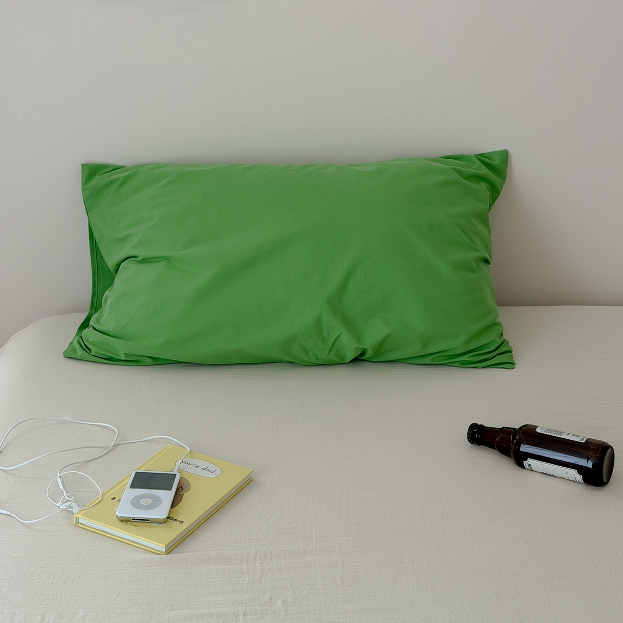 艾沁家纺 2026新款全棉纯棉单品枕套 枕套单件 苹果绿-全棉水洗