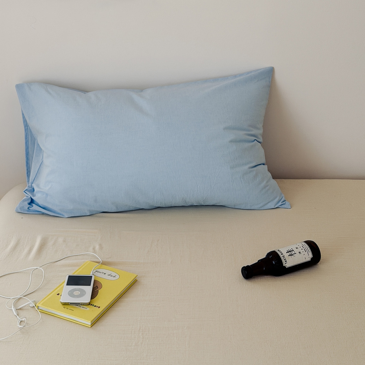 艾沁家纺 2026新款全棉纯棉色织水洗棉单品枕套 枕套单件1 浅蓝