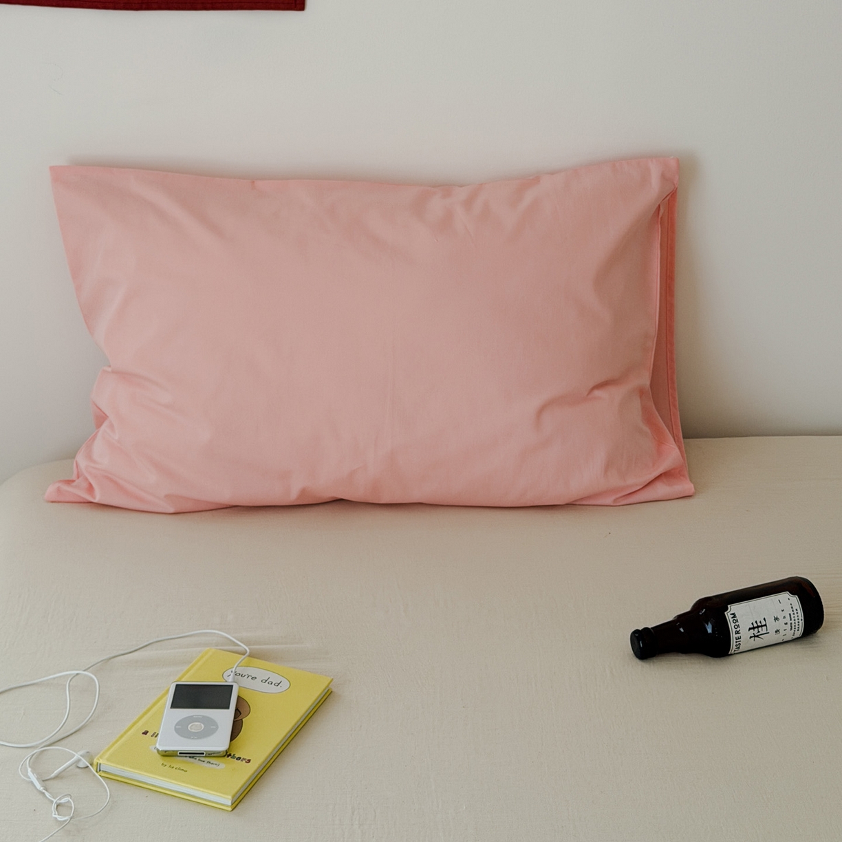 91家纺网 家纺一手货源 找家纺 （总）艾沁家纺 2026新款全棉纯棉色织水洗棉单品枕套 枕套单件2