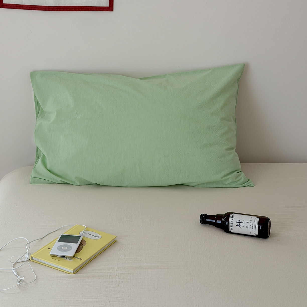 艾沁家纺 2026新款全棉纯棉色织水洗棉单品枕套 枕套单件3 浅绿