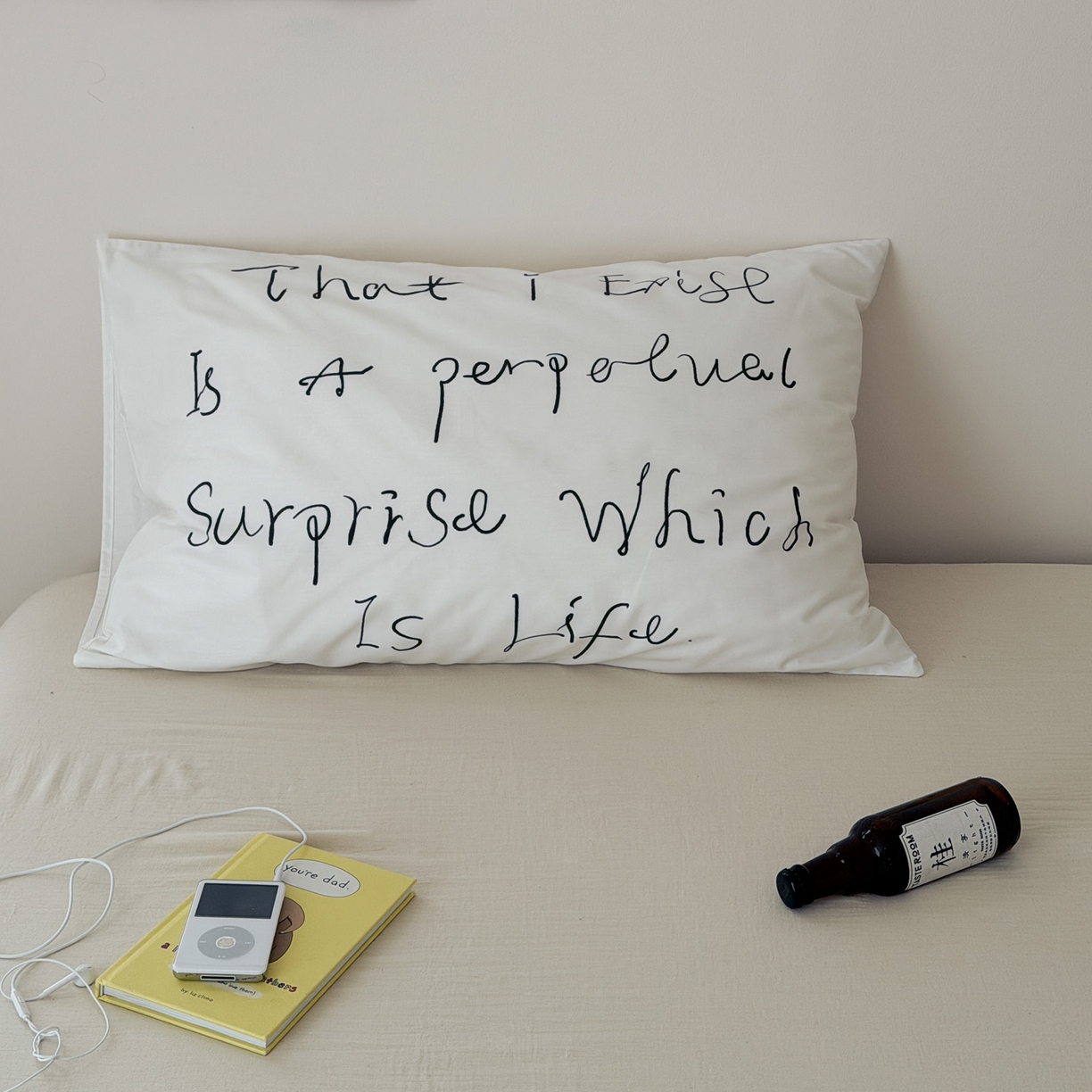 91家纺网 家纺一手货源 找家纺 （总）艾沁家纺 2026新款全棉纯棉数码印花字母单品枕套 枕套单件