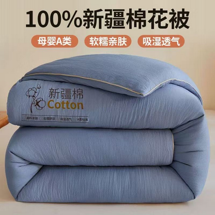 91家纺网 家纺一手货源 找家纺 （总）好福居 2025新款A类水洗棉100%新疆棉花被棉絮春秋被冬被被子被芯