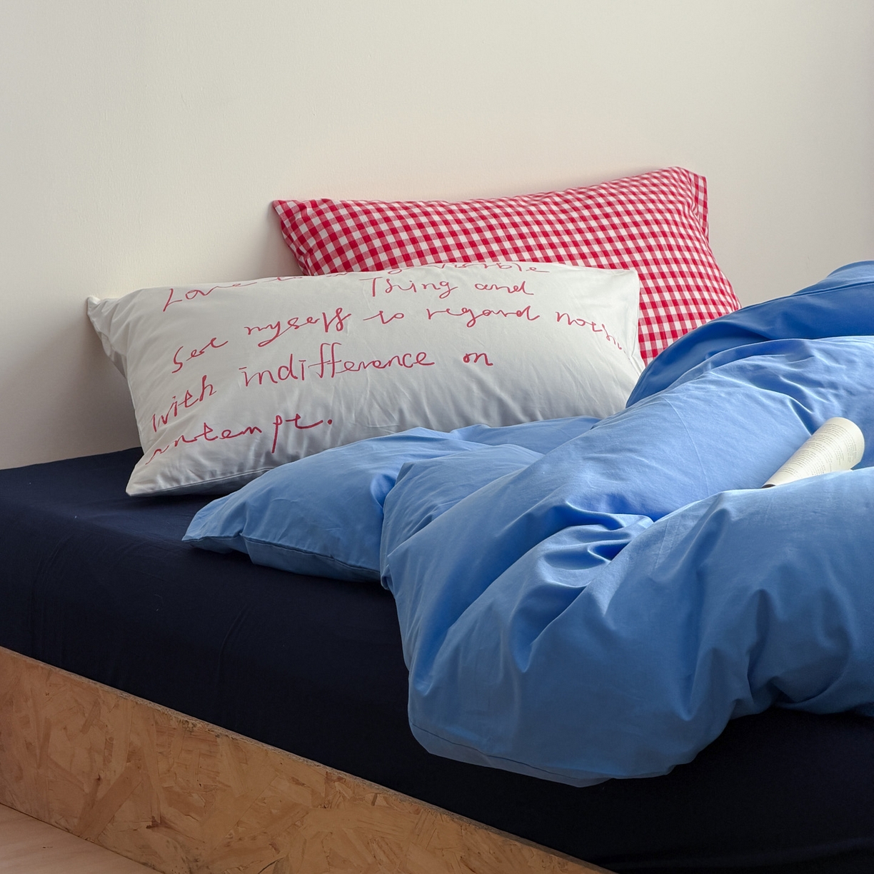 91家纺网 家纺一手货源 找家纺 （总）艾沁家纺 2026新款不染的原棉全棉色织提花单品枕套