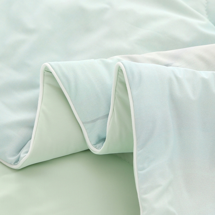 91家纺网 家纺一手货源 找家纺 亚龙工厂店 2026新款大版数码云母冰丝夏凉被被子被芯 初颜