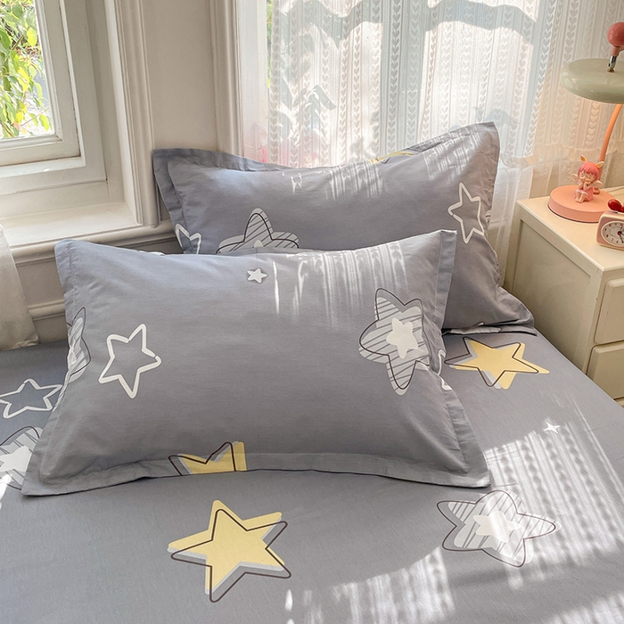 世爵 2026新款全棉纯棉印花小清新单枕套单 天空之城