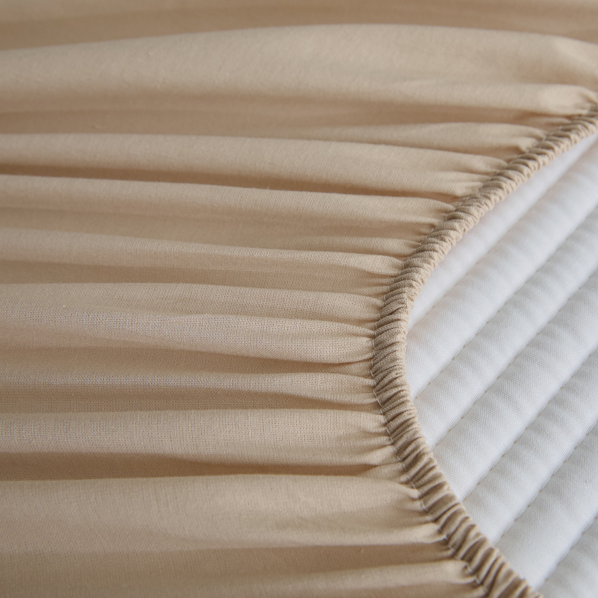 91家纺网 家纺一手货源 找家纺 （总）芬晴家纺 2026新款知音全棉棉花床笠单品床笠床笠单件