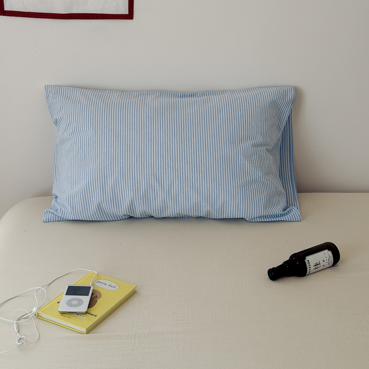 91家纺网 家纺一手货源 找家纺 （总）艾沁家纺 2026新款全棉纯棉色织水洗棉单品枕套 枕套单件5