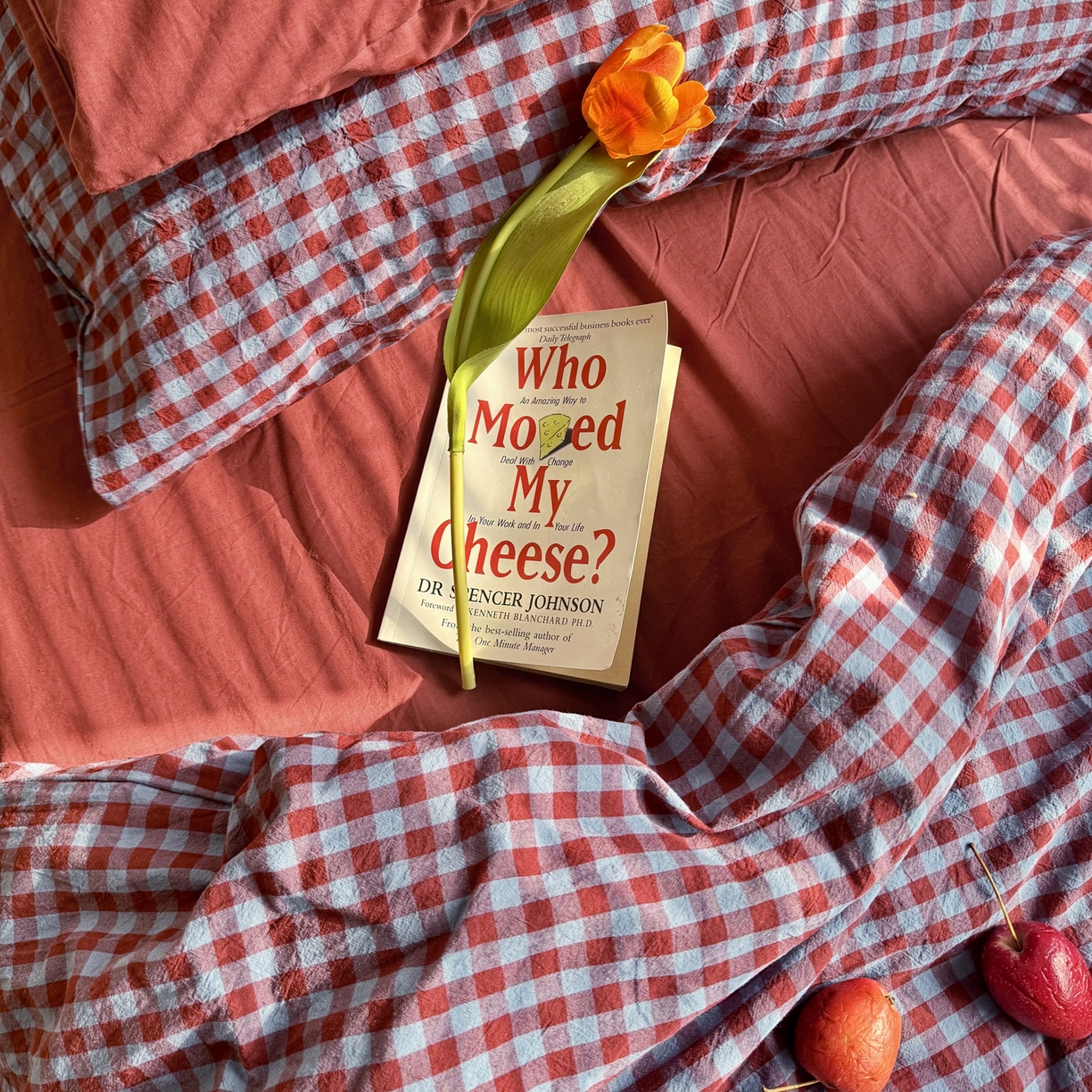 91家纺网 家纺一手货源 找家纺 例外 2026新款布拉格ins风色织水洗棉四件套 布拉格-藏红（红底）