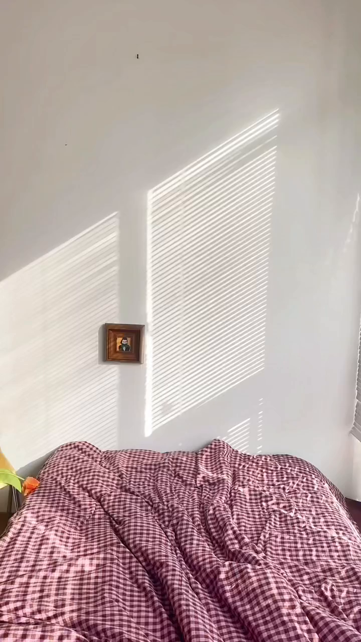 91家纺网 家纺一手货源 找家纺 例外 2026新款布拉格ins风色织水洗棉四件套 布拉格-树莓（棕底）