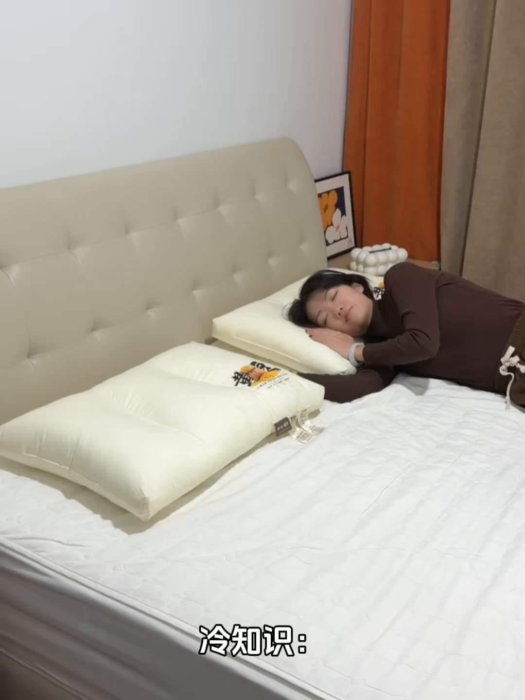 91家纺网 家纺一手货源 找家纺 （总）乐可 2026新款A类全棉大豆枕酣然入梦黄豆枕枕头枕芯