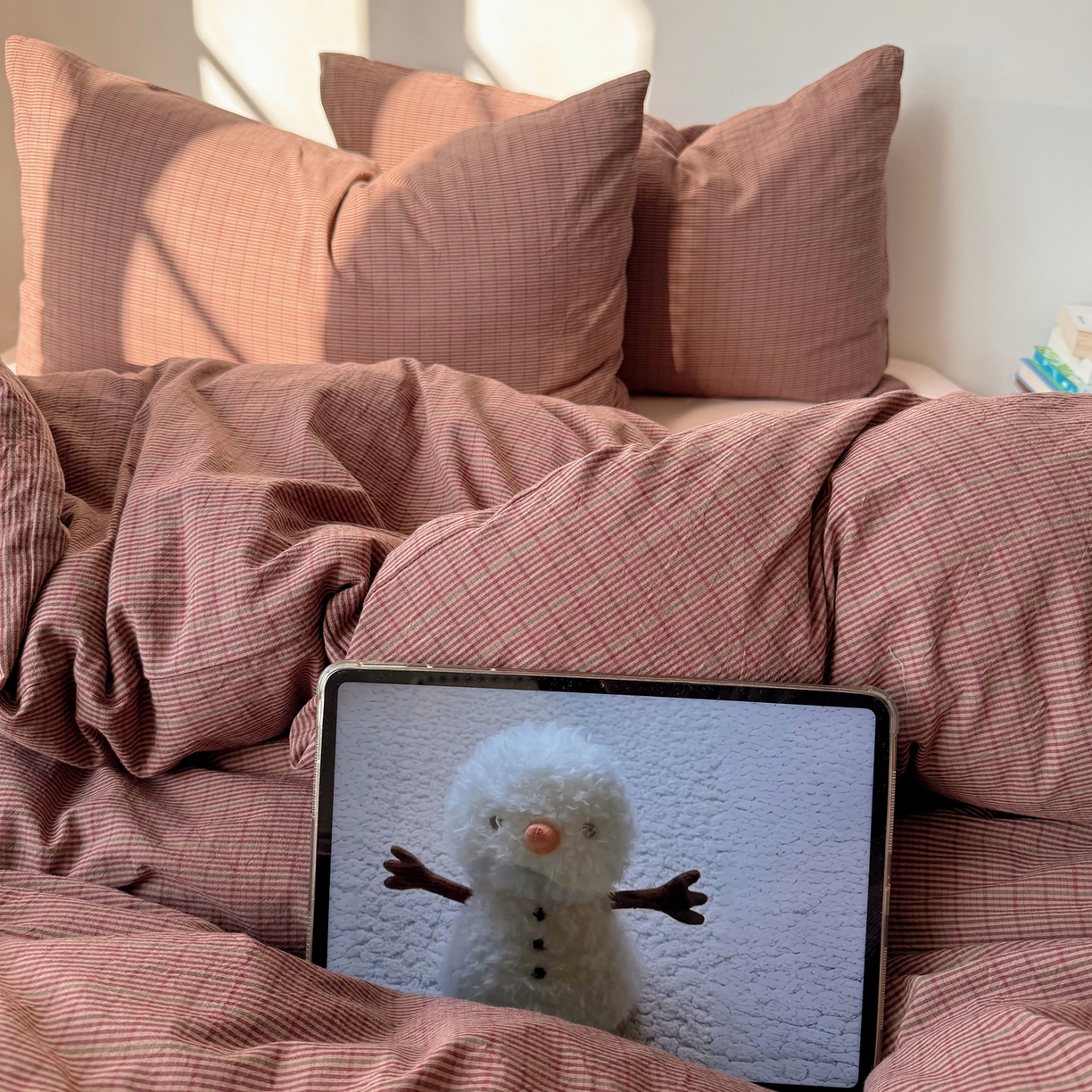 91家纺网 家纺一手货源 找家纺 六巷胡同 2026新款INS博主风A类全棉纯棉色织水洗棉格子四件套 逐风-红格