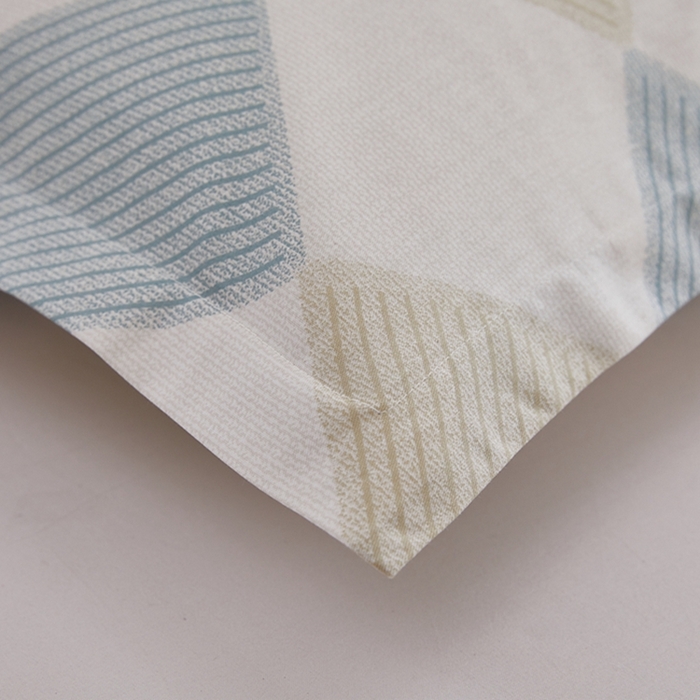 91家纺网 家纺一手货源 找家纺 翎盈家纺 2026新款卡通小清新全棉纯棉枕套成人学生儿童枕头套 瑞吉斯-兰