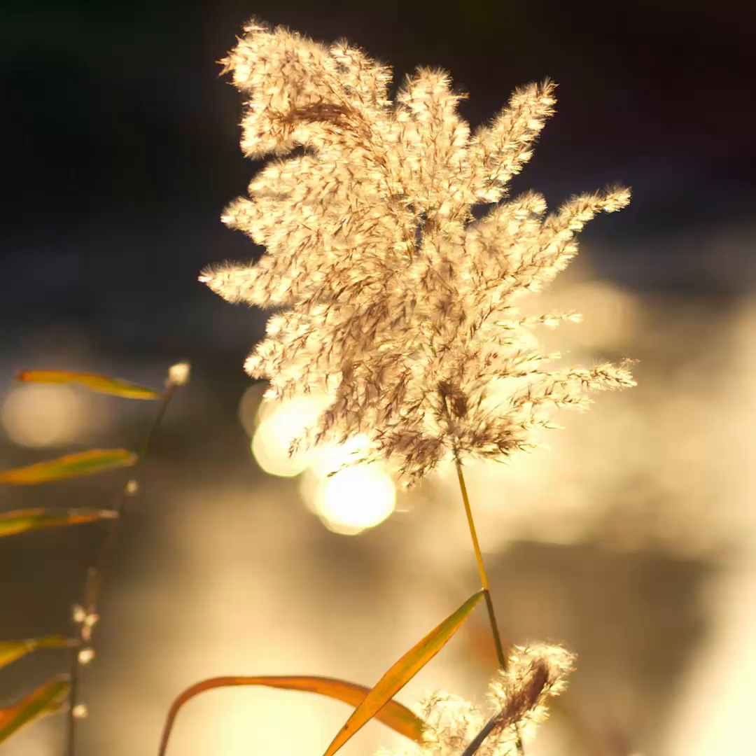 91家纺网 家纺一手货源 找家纺 朴尔家纺-毛巾被 2026新款加厚纯色线毯纱布毛巾被-朴尔经典款常年备货 组合图仅供展示