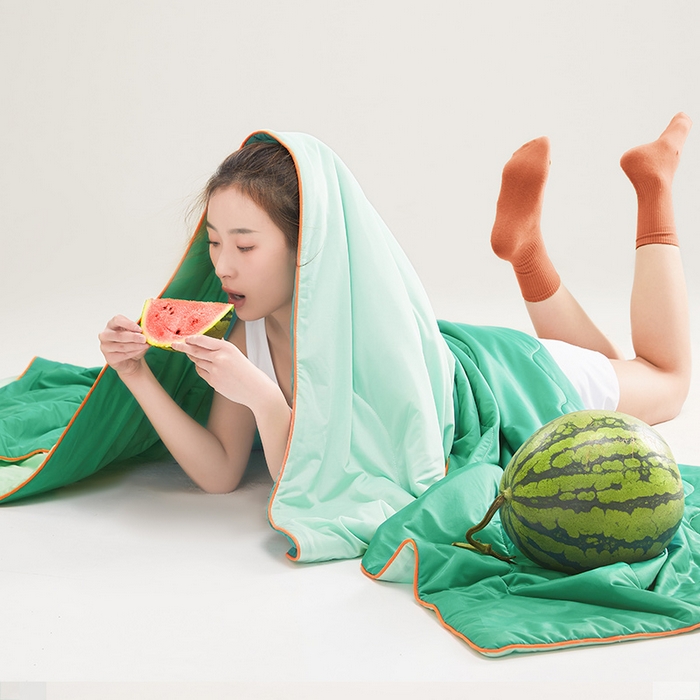 91家纺网 家纺一手货源 找家纺 爱彼家纺 2026新款A类氨纶凉感丝西瓜大豆空调被夏被夏凉被（控价最低79.9/89.9/99.9） 瓜瓜被-西瓜绿