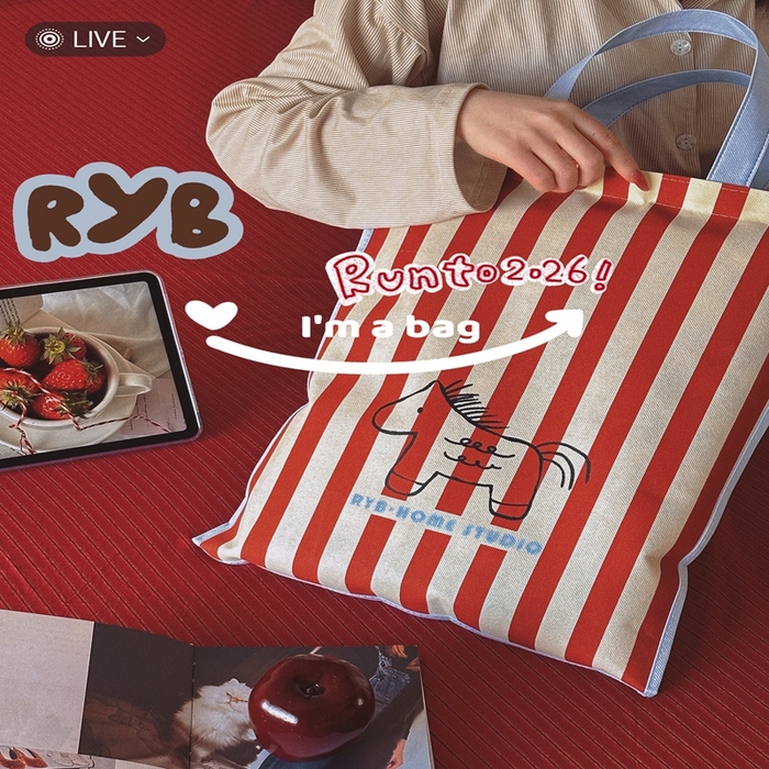 91家纺网 家纺一手货源 找家纺 （总）RYB红黄兰 2026新款新年小马ins风全棉纯棉四件套三件套