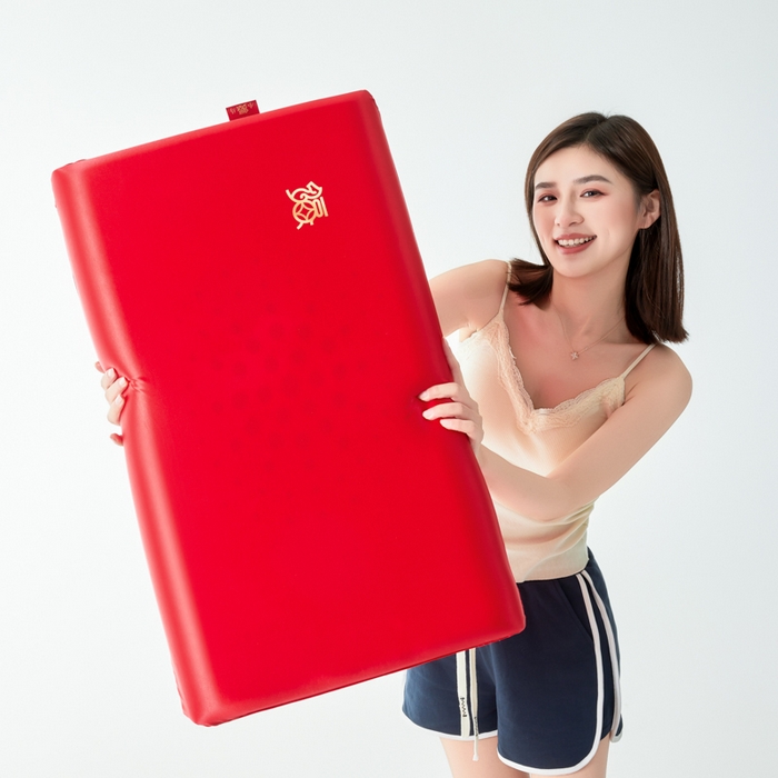 91家纺网 家纺一手货源 找家纺 （总）唯爱品 2026新小福马深睡记忆枕新年套装枕芯+圆筒盒+手拎袋+外枕套（赠品，赠完为止）