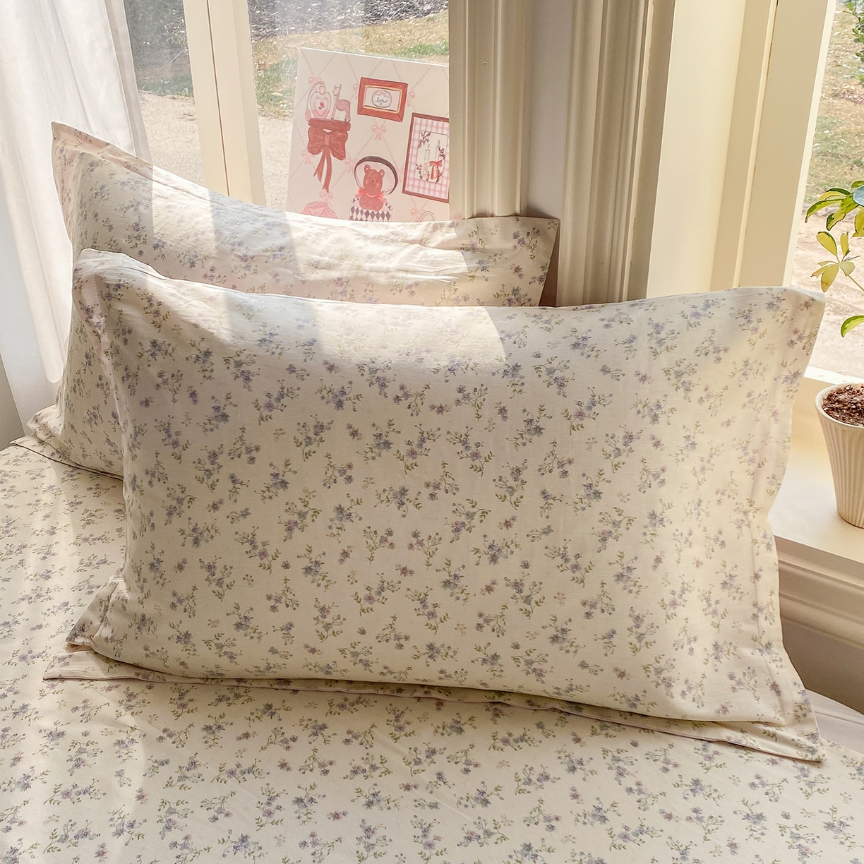 91家纺网 家纺一手货源 找家纺 花梦欣 2026新款全棉印花单品系列2花卉款-单枕套 星辰蔷薇