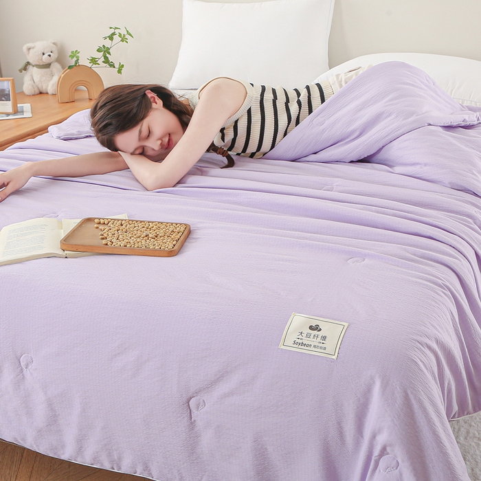 91家纺网 家纺一手货源 找家纺 亚龙工厂店 2026春夏新款爆款法式小香风皱皱纱木棉大豆被夏被 紫色