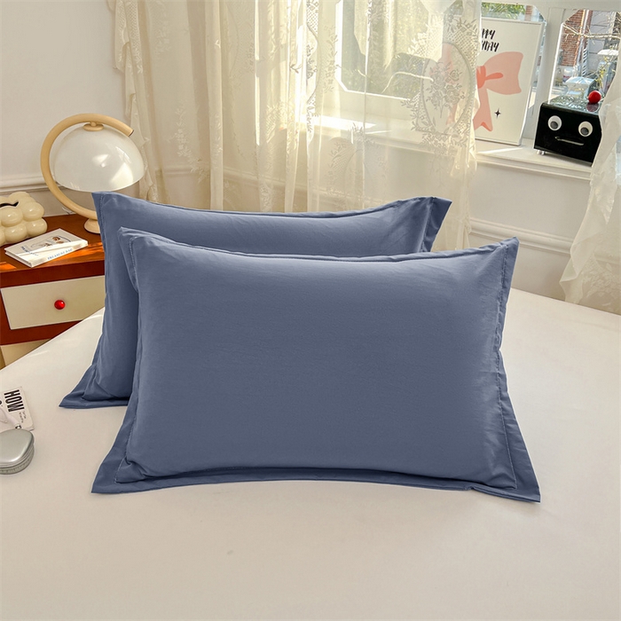 91家纺网 家纺一手货源 找家纺 （总）圣比熊 2026新款A类云朵棉单层枕套宿舍单人单只一只装枕芯内胆套-单层压线