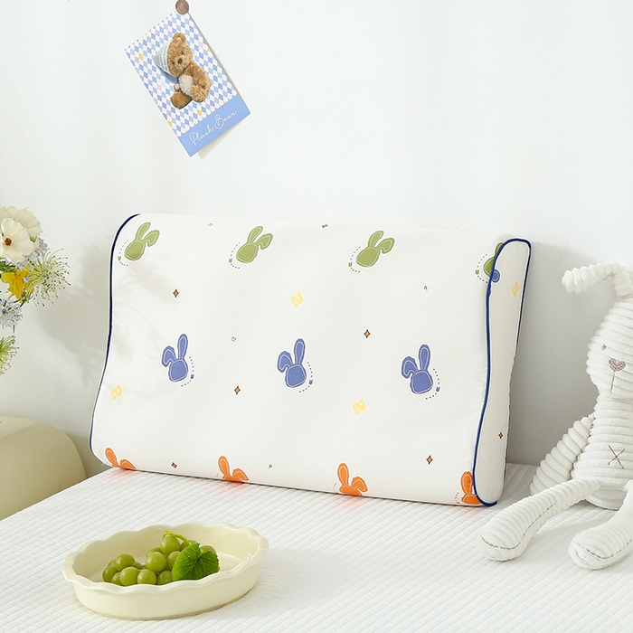 91家纺网 家纺一手货源 找家纺 （总）良佐生活 2026新款水洗天丝棉乳胶枕套（特价）