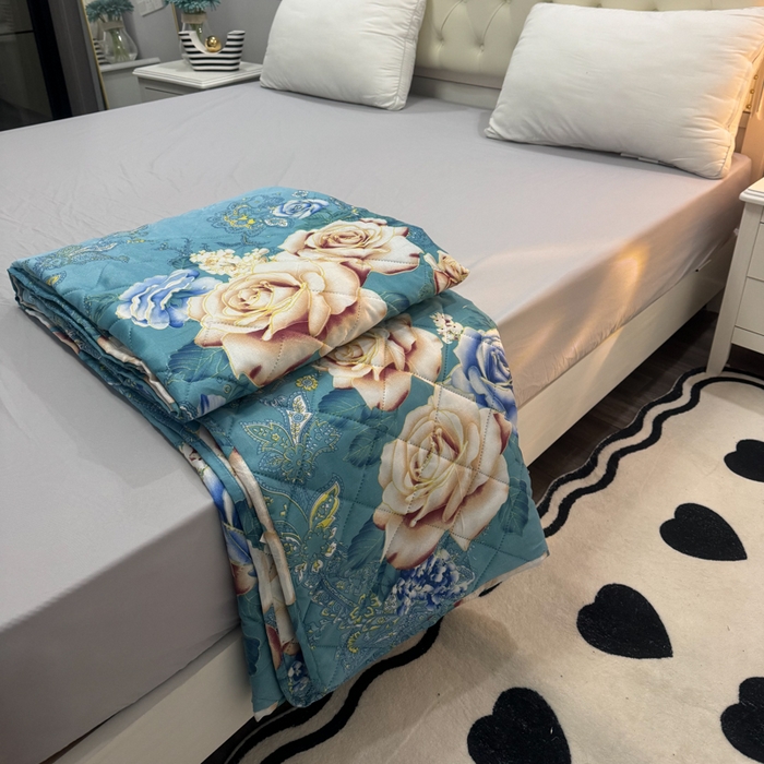 91家纺网 家纺一手货源 找家纺 被多多被业 2026新款磨毛印花夏被夏凉被空调被 爱丽丝-兰 开版