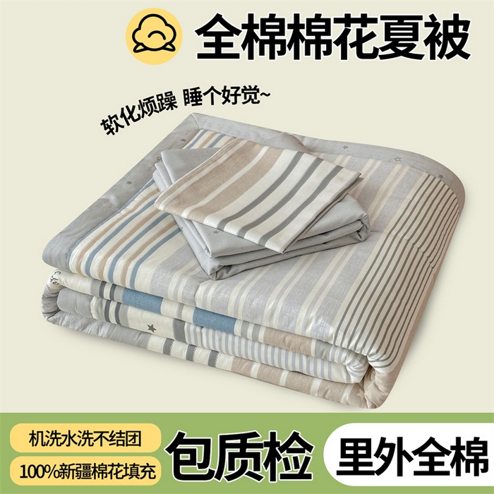 91家纺网 家纺一手货源 找家纺 （总）尊妙被业 2026新款里外全棉100%新疆棉花夏被被子被芯-简约风