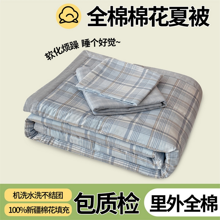 91家纺网 家纺一手货源 找家纺 （总）尊妙被业 2026新款里外全棉100%新疆棉花夏被被子被芯-简约风