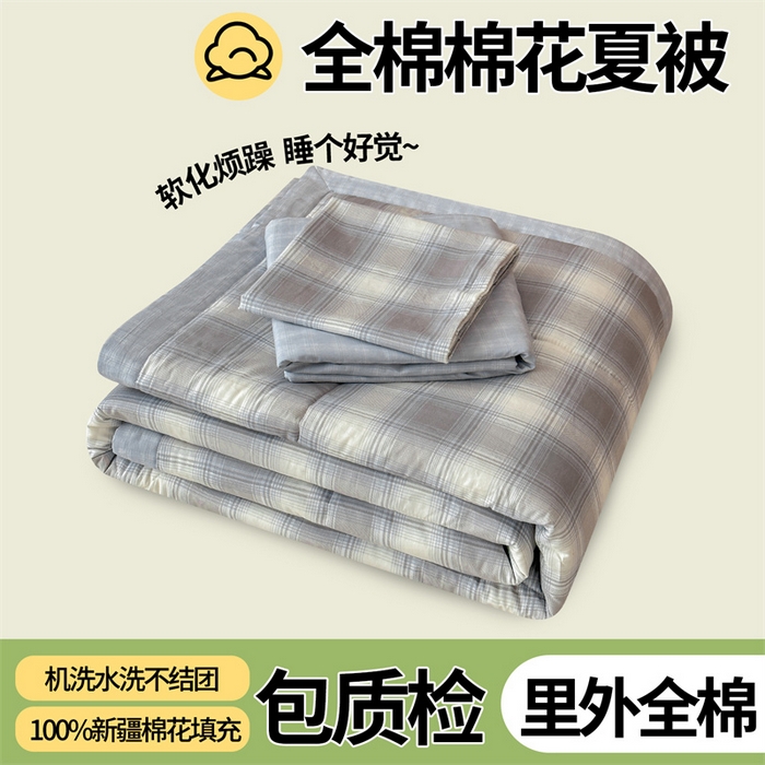 尊妙被业 2026新款里外全棉100%新疆棉花夏被被子被芯-简约风 摩卡条纹-蓝
