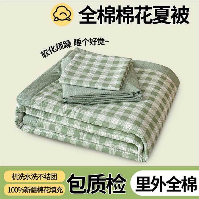 尊妙被业 2026新款里外全棉100%新疆棉花夏被被子被芯-简约风 格瑞-绿