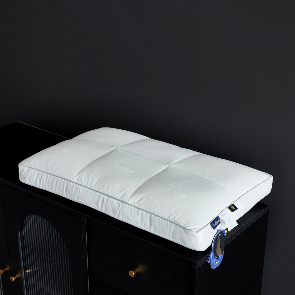 91家纺网 家纺一手货源 找家纺 （总）岚司羽 2026新款可水洗活套羽绒枕头枕芯