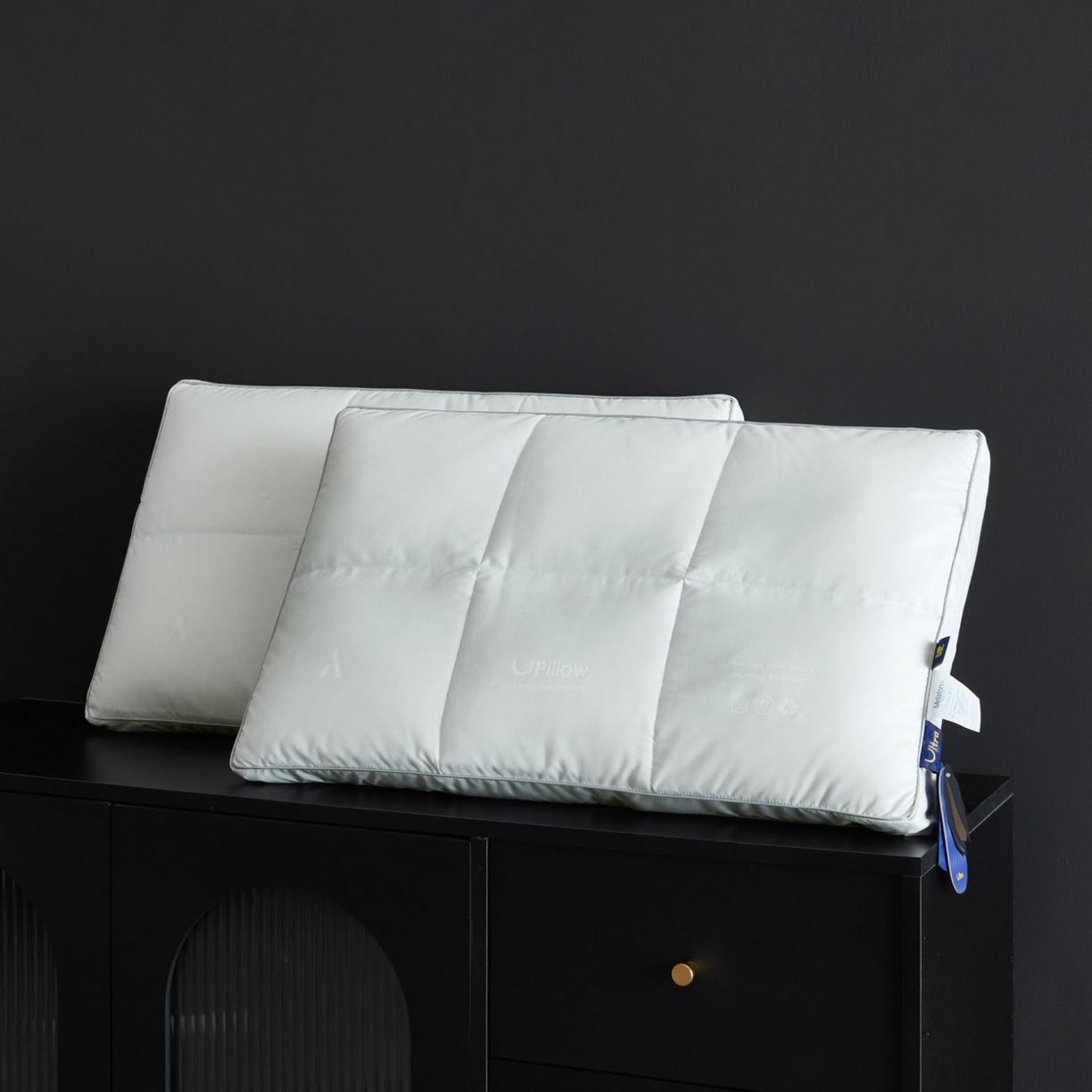 91家纺网 家纺一手货源 找家纺 （总）岚司羽 2026新款可水洗活套羽绒枕头枕芯