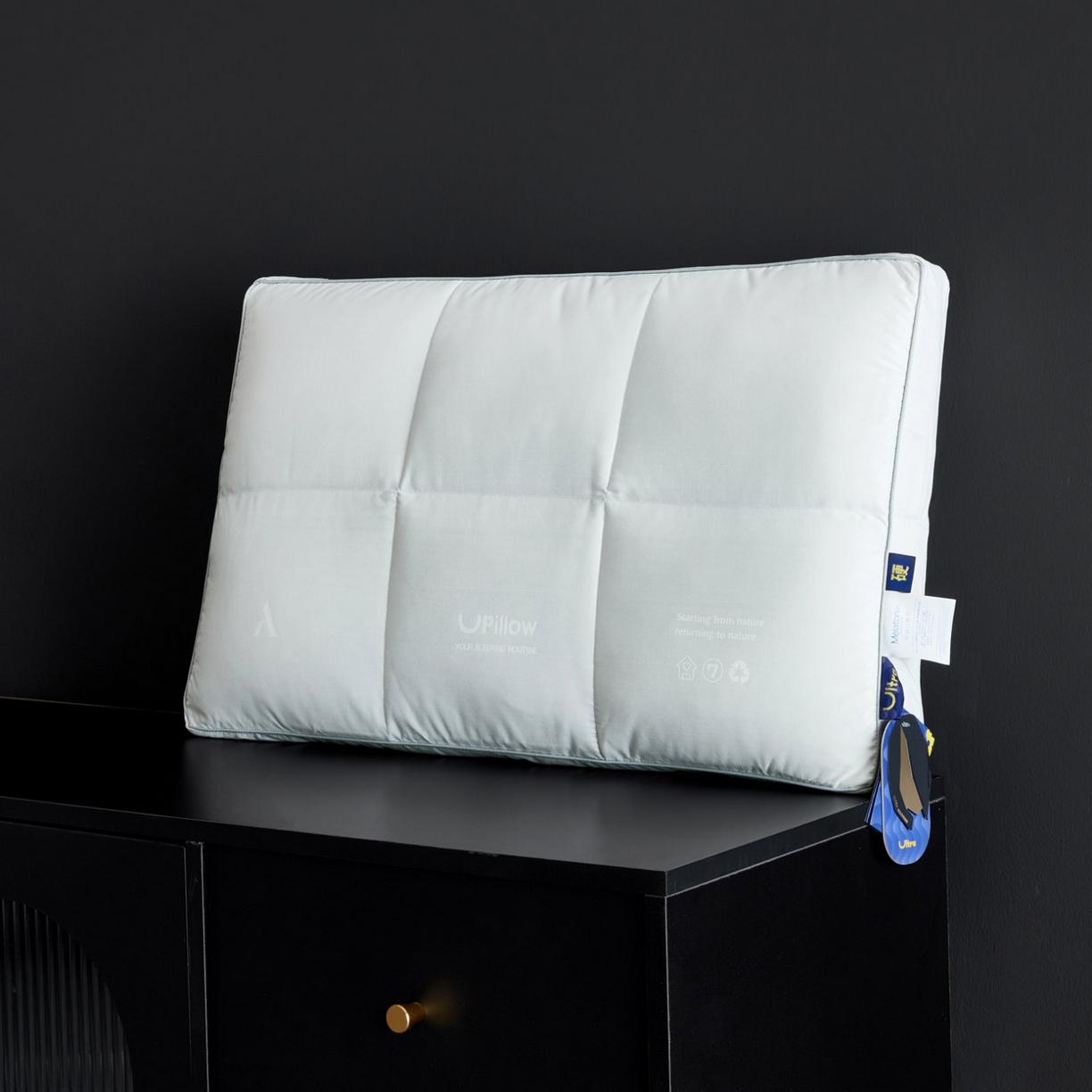 91家纺网 家纺一手货源 找家纺 （总）岚司羽 2026新款可水洗活套羽绒枕头枕芯