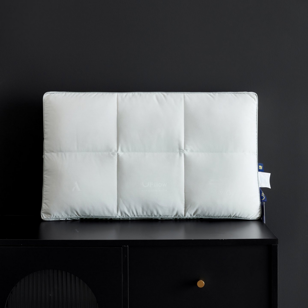 91家纺网 家纺一手货源 找家纺 （总）岚司羽 2026新款可水洗活套羽绒枕头枕芯