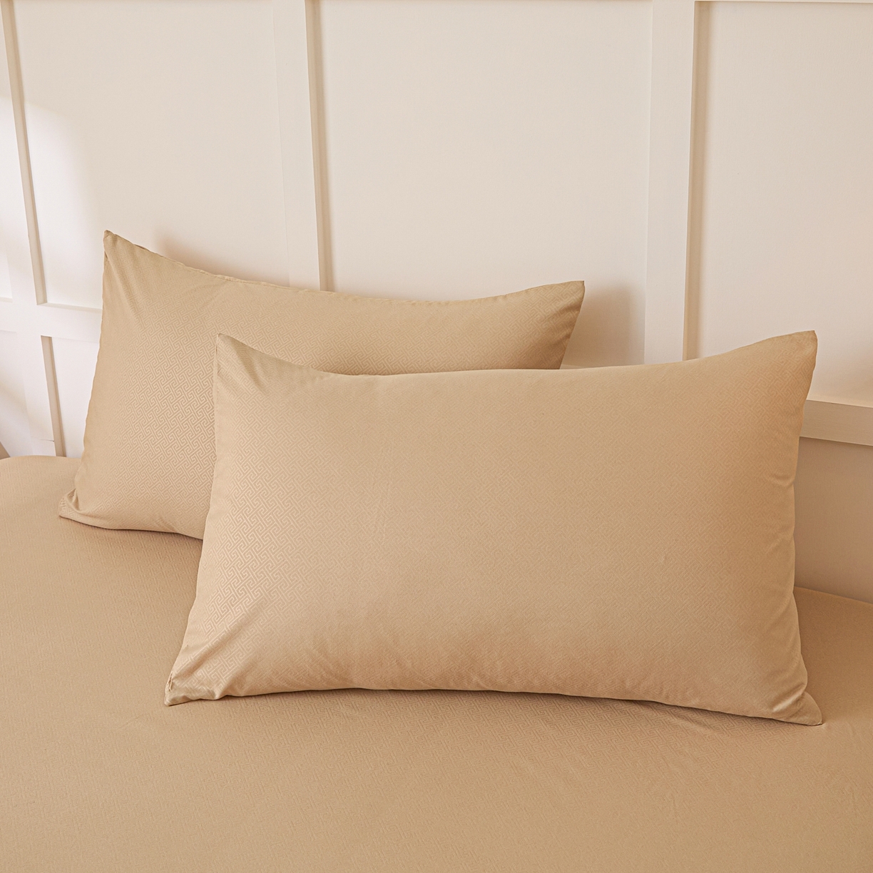 91家纺网 家纺一手货源 找家纺 衿成家纺 2026新款简约纯色磨毛压光单床笠 YG-卡其