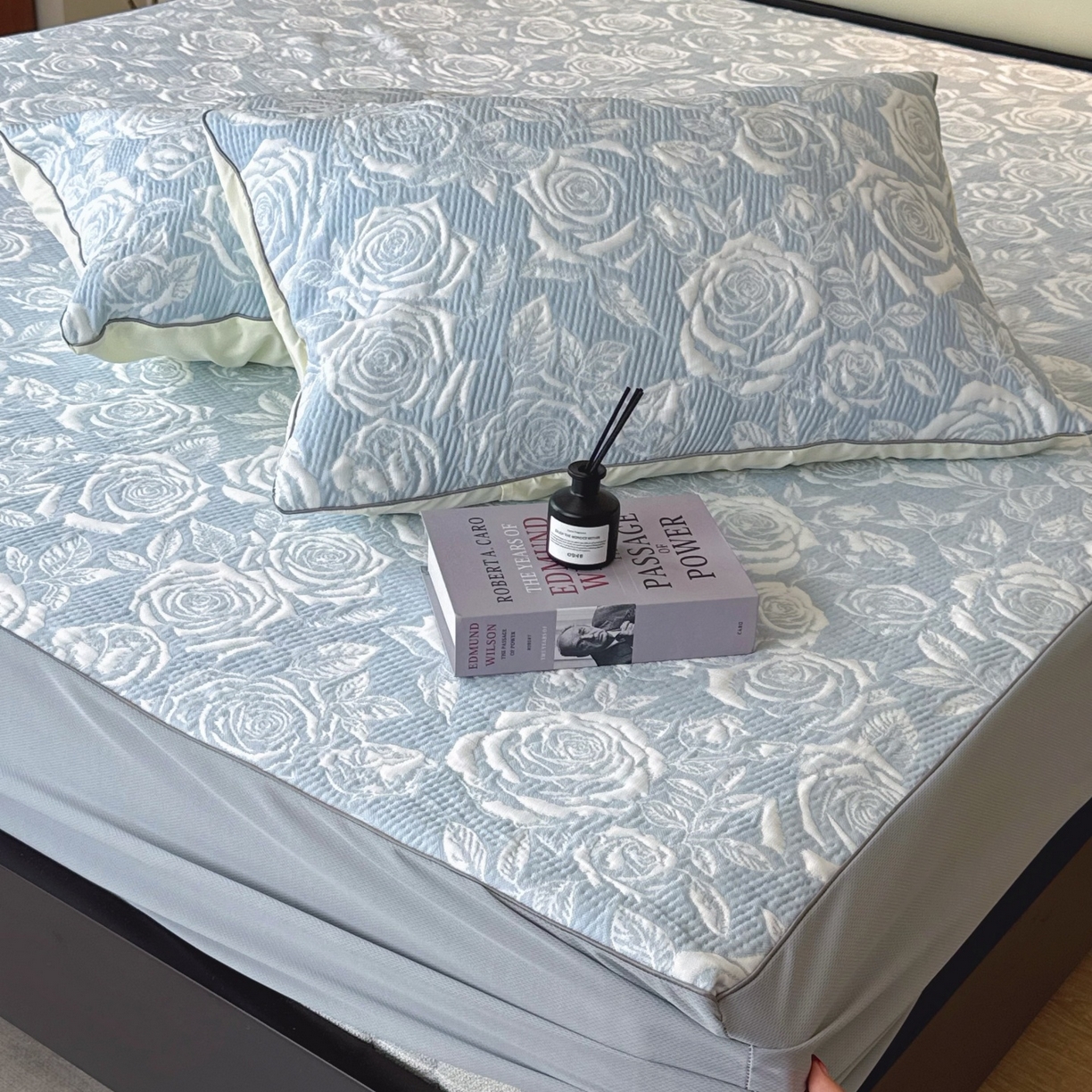 91家纺网 家纺一手货源 找家纺 兜米家居 2026春夏新款韩国冷感科技PE软凉席垫三件套【床笠款】 床笠款～玫瑰蓝