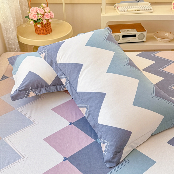 91家纺网 家纺一手货源 找家纺 禧安居 2025新款高支高密活性印染全棉枕套单枕套几何飞船