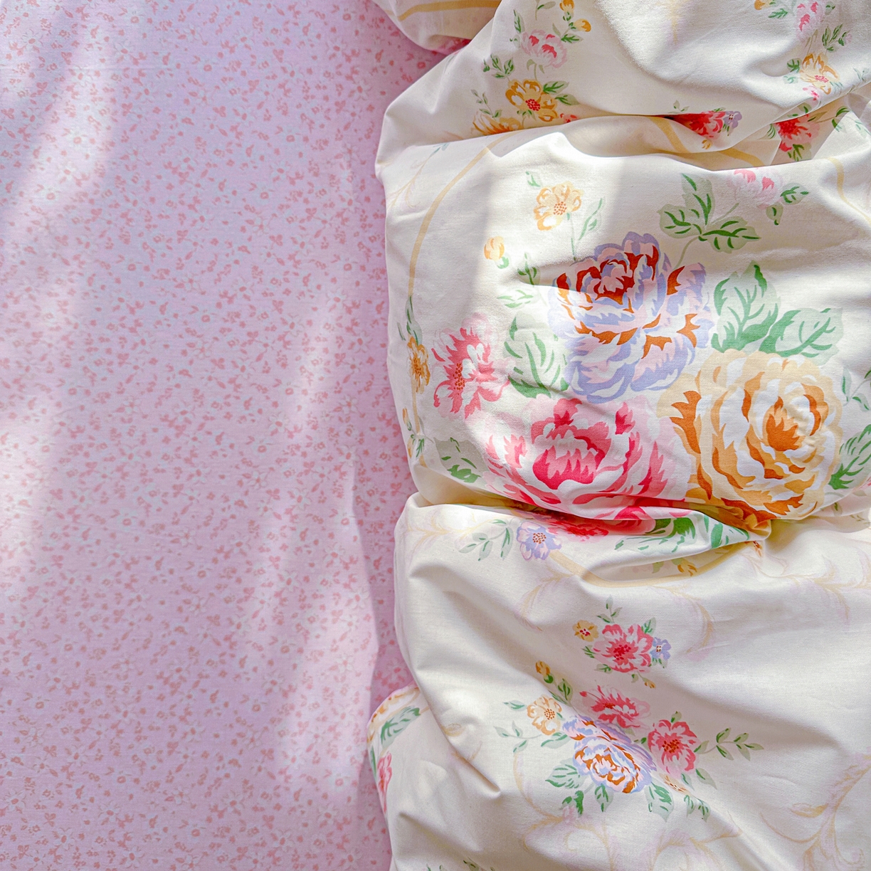 91家纺网 家纺一手货源 找家纺 佳汐蓝家纺 2026新款全棉纯棉加厚13376印花四件套 杏雨寻春