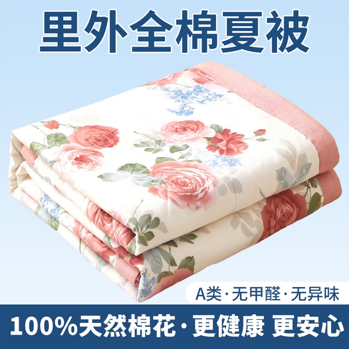 91家纺网 家纺一手货源 找家纺 （总）黛妮雅 2026新款里外全棉印花棉花被纯棉夏被夏凉被空调被 夏被四件套