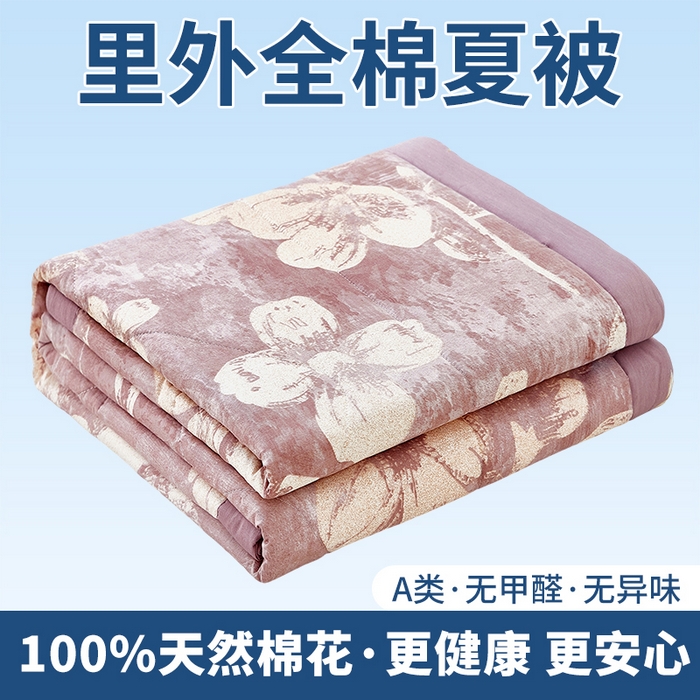 91家纺网 家纺一手货源 找家纺 （总）黛妮雅 2026新款里外全棉印花棉花被纯棉夏被夏凉被空调被 夏被四件套