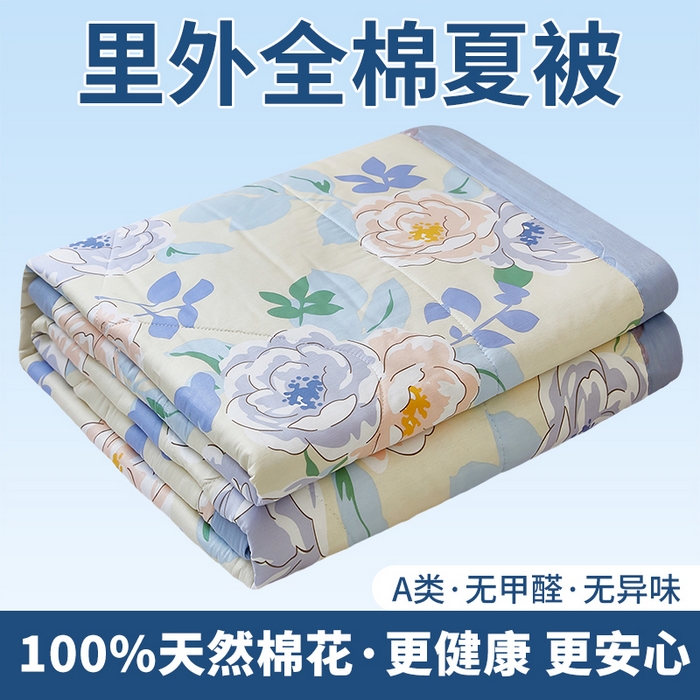 91家纺网 家纺一手货源 找家纺 （总）黛妮雅 2026新款里外全棉印花棉花被纯棉夏被夏凉被空调被 夏被四件套
