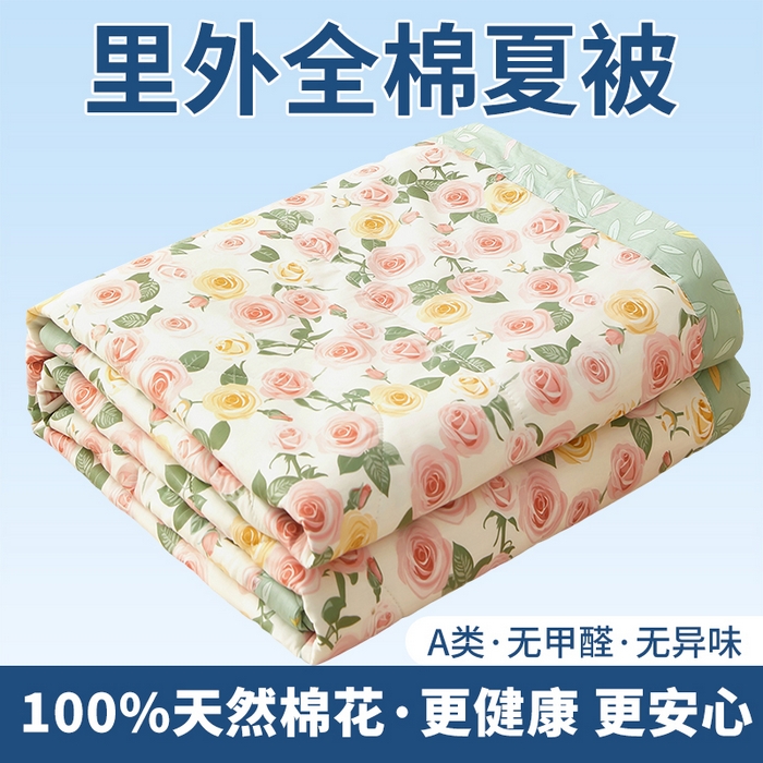 91家纺网 家纺一手货源 找家纺 （总）黛妮雅 2026新款里外全棉印花棉花被纯棉夏被夏凉被空调被 夏被四件套